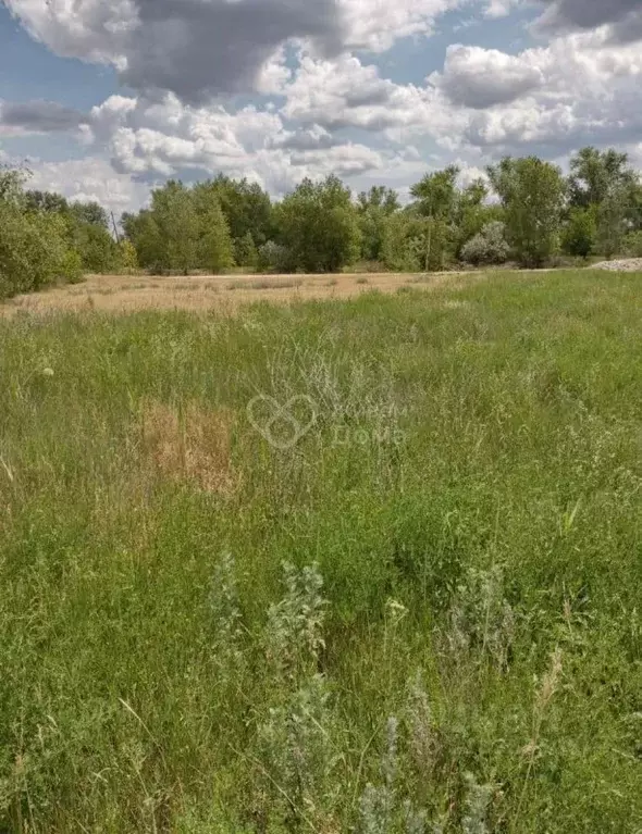 Участок в Волгоградская область, Краснослободск Среднеахтубинский ... - Фото 1