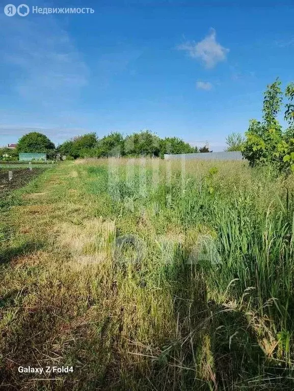 Дом в село Рождественская Хава, улица Мира, 13 (50 м) - Фото 2