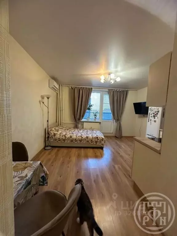 Студия Ленинградская область, Мурино Всеволожский район, просп. ... - Фото 1