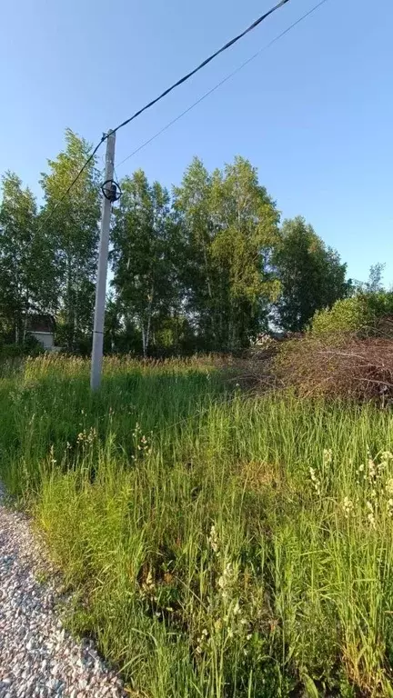 Участок в Новосибирская область, Новосибирский район, Барышевский ... - Фото 0