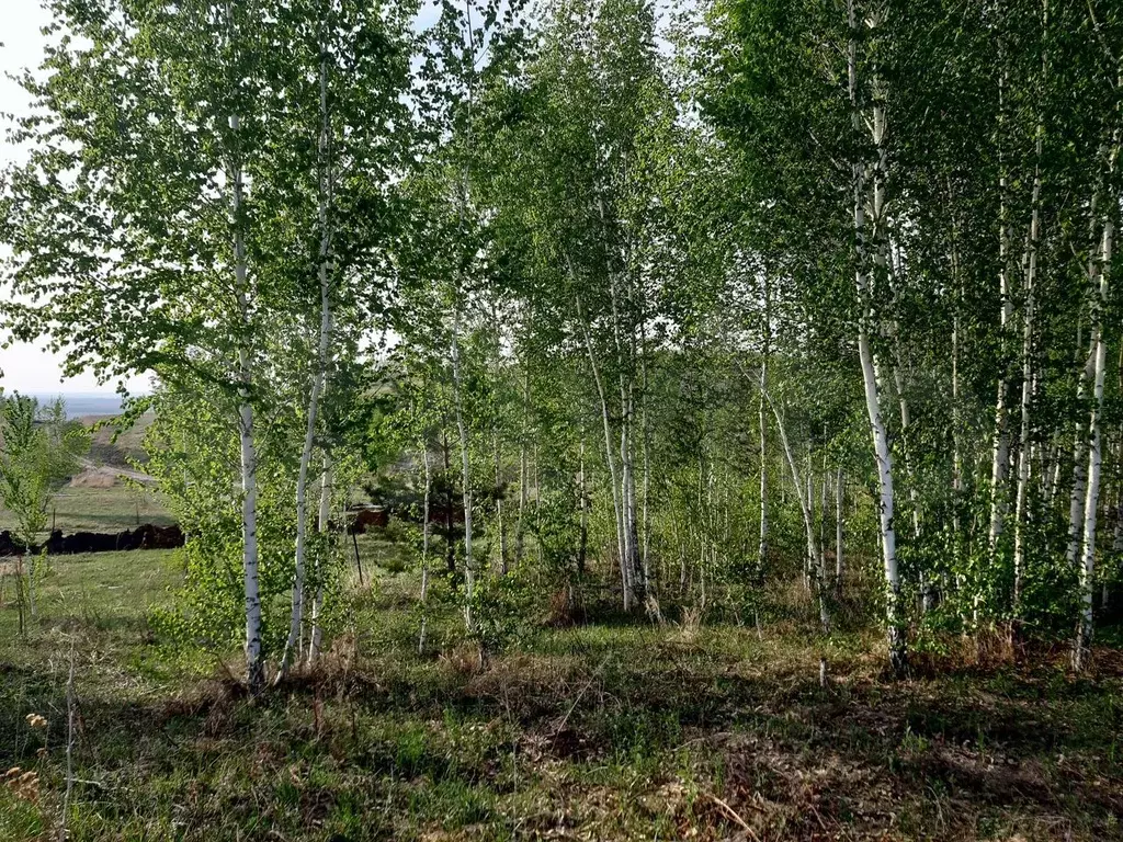 Купить Участок В Октябрьском Районе Новосибирска