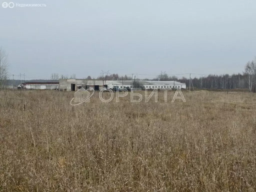 Участок в Тюменский муниципальный округ, село Щербак (280 м) - Фото 1