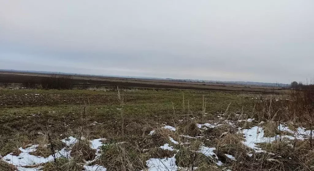 Участок в Московская область, Дмитровский муниципальный округ, с. ... - Фото 0