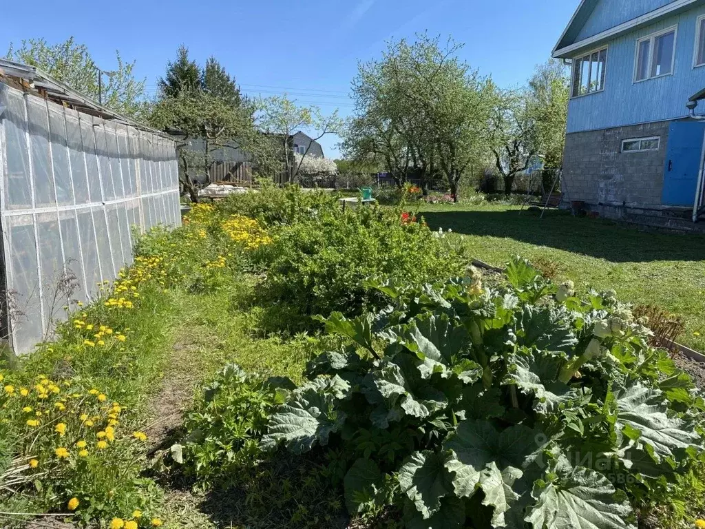 Участок в Ленинградская область, Ломоносовский район, Горбунковское ... - Фото 1