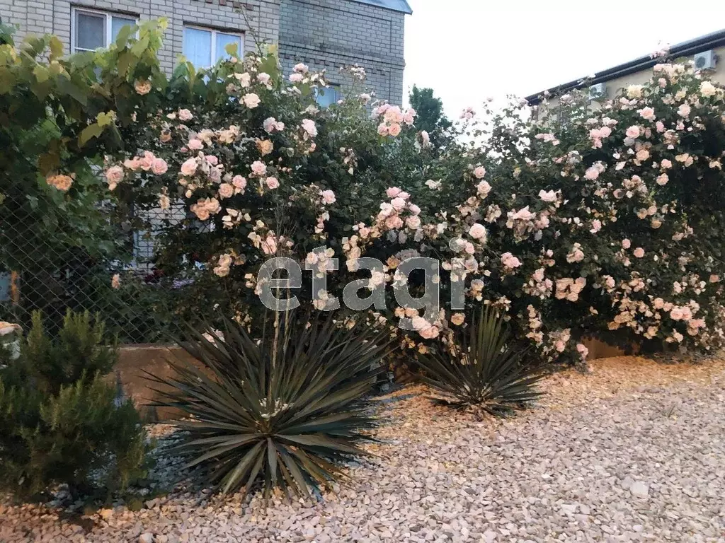 Дом в Краснодарский край, Геленджик  (250 м) - Фото 1