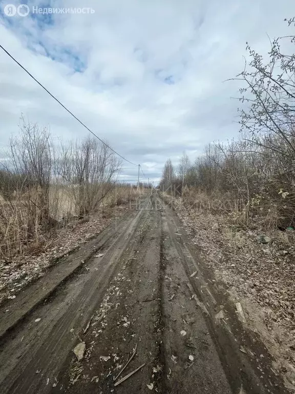 Участок в Тюмень, садовое товарищество Поле Чудес (4.86 м) - Фото 1