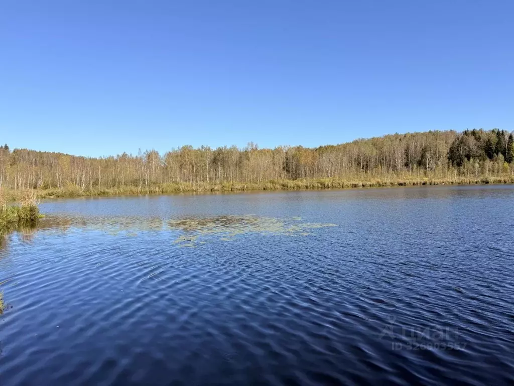 Участок в Московская область, Дмитровский муниципальный округ, д. ... - Фото 1