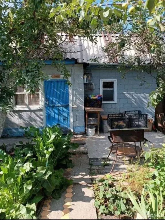 Дом в Челябинская область, Челябинск Станкостроитель-1 СНТ, ул. 6-я, ... - Фото 2