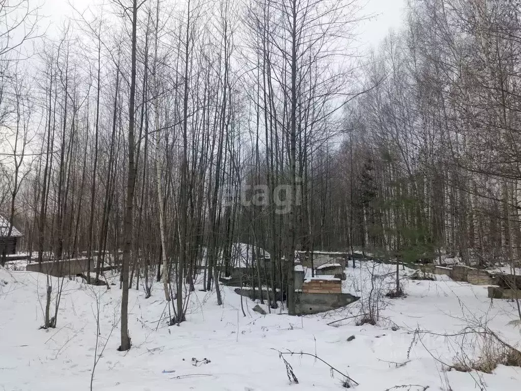 Участок в Нижегородская область, Выкса городской округ, с. Борковка, ... - Фото 1