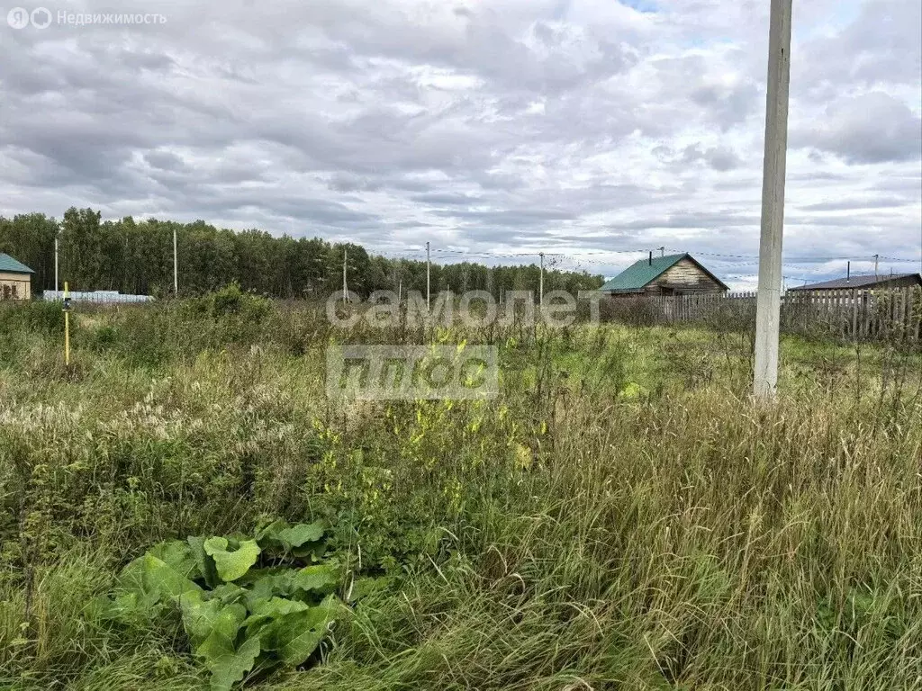Участок в Заводоуковск, улица Гилёвская Роща (6.5 м) - Фото 2