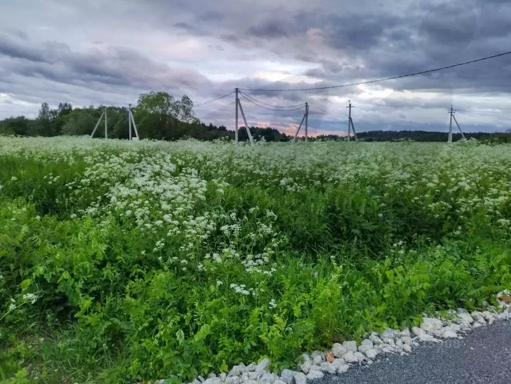 Участок в Московская область, Клин городской округ, д. Пустые Меленки ... - Фото 1