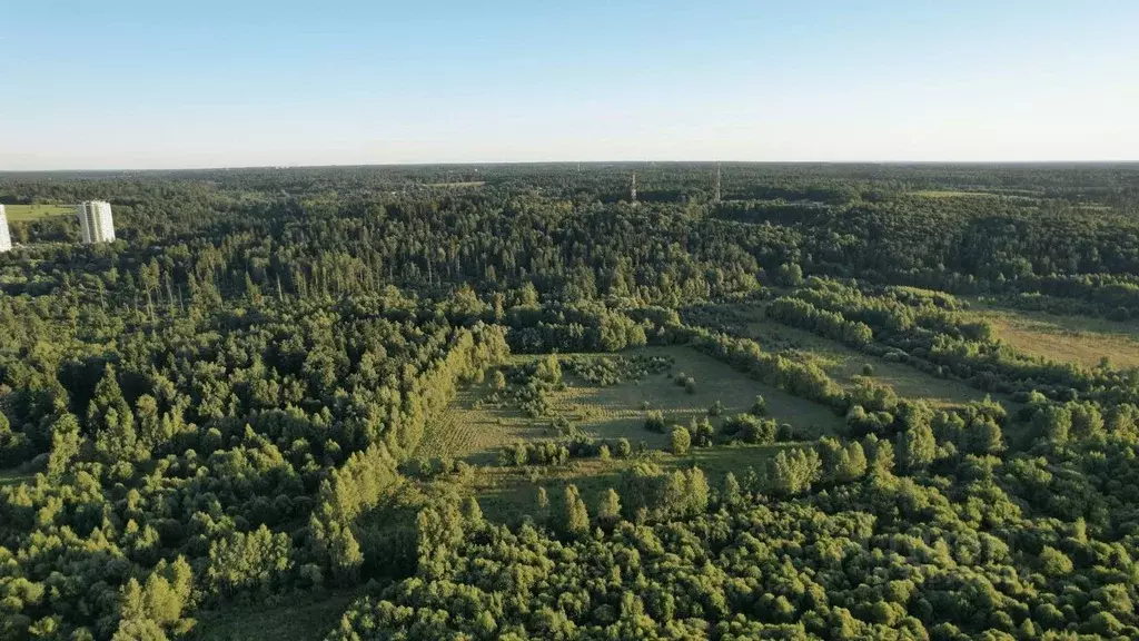 Участок в Московская область, Звенигород Одинцовский городской округ, ... - Фото 1
