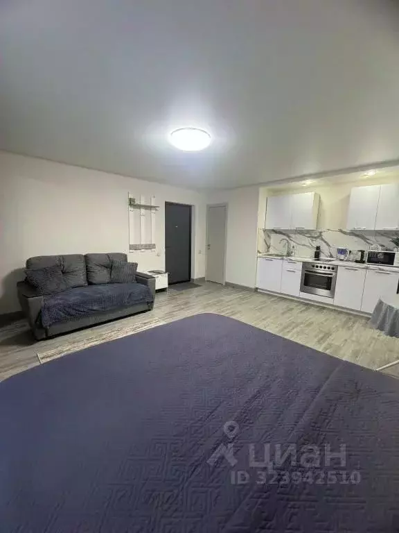 1-к кв. Московская область, Апрелевка Наро-Фоминский городской округ, ... - Фото 2