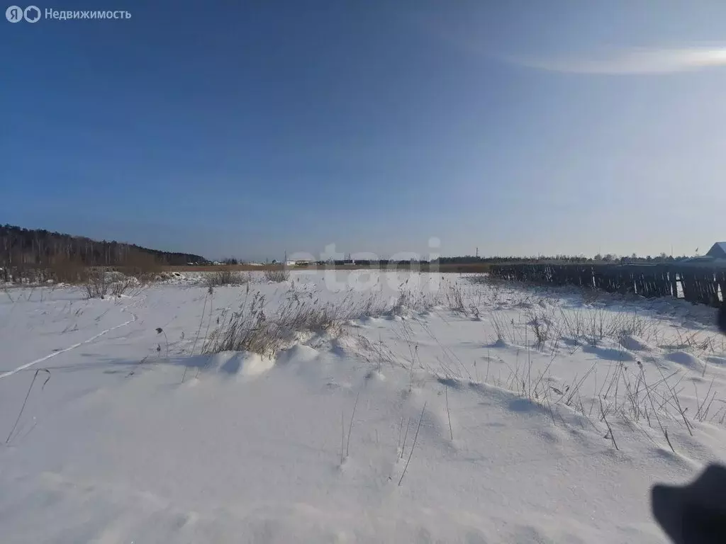 Участок в Курган, СТ Сады Зауралья (5.55 м) - Фото 1