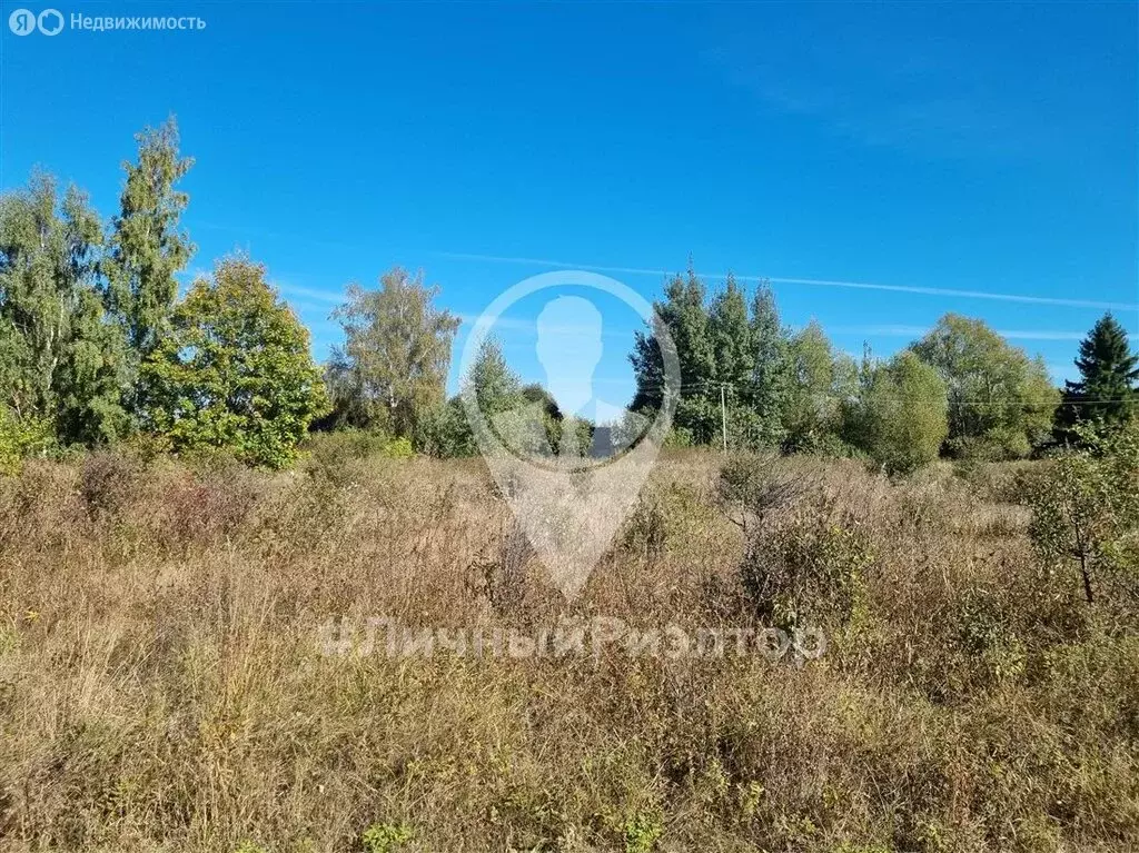 Участок в деревня Добрая Слобода, 6 (31 м) - Фото 2