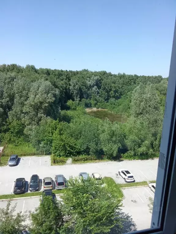 2-к кв. Новосибирская область, Новосибирск Шлюз мкр, ул. Сиреневая, 19 ... - Фото 0