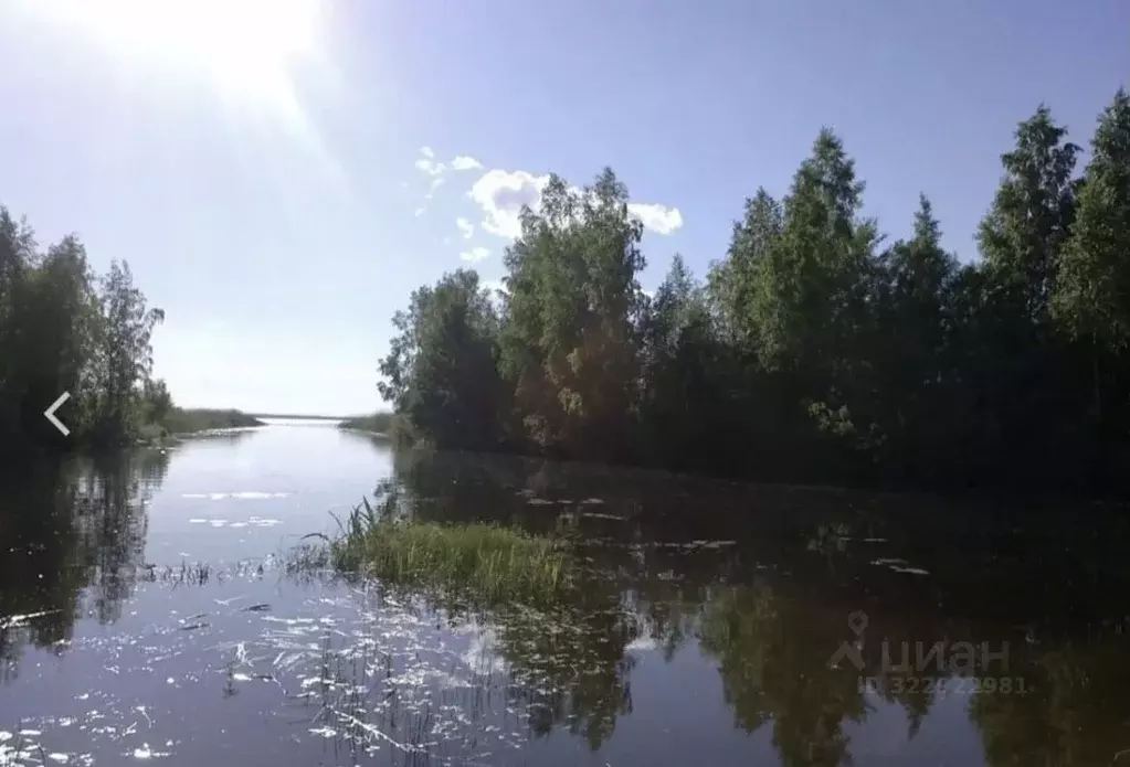 Участок в Псковская область, Гдовский район, Самолвовская волость, д. ... - Фото 1