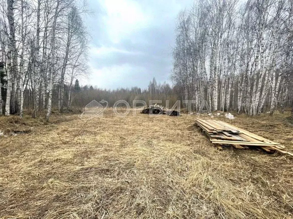 Участок в Тюменская область, Нижнетавдинский район, Аракчино СНТ  ... - Фото 1