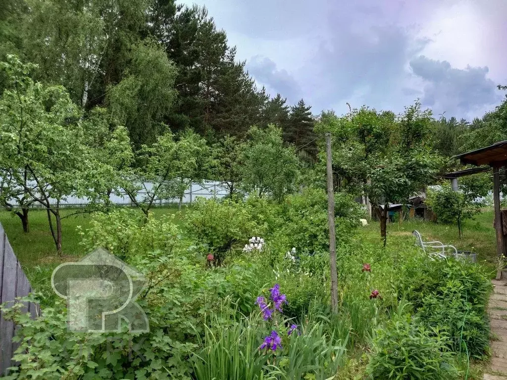 Дом в Московская область, Одинцовский городской округ, с. Луцино  (38 ... - Фото 2