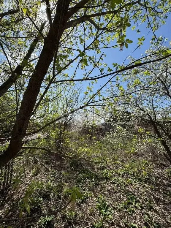 Участок в Бийск, улица Владимира Ленина (4.1 м) - Фото 1