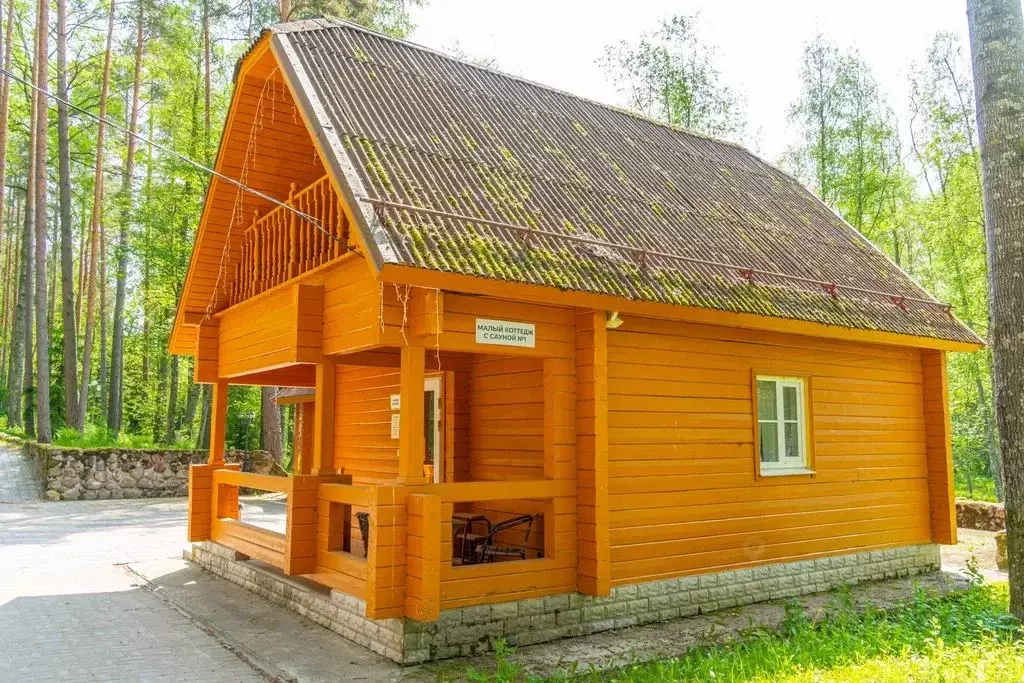 Дом в Ленинградская область, Приозерский район, Ромашкинское с/пос, ... - Фото 1