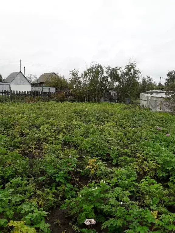 Участок в Саха (Якутия), Якутск ул. Старый Покровский Тракт, 52 (12.0 ... - Фото 0