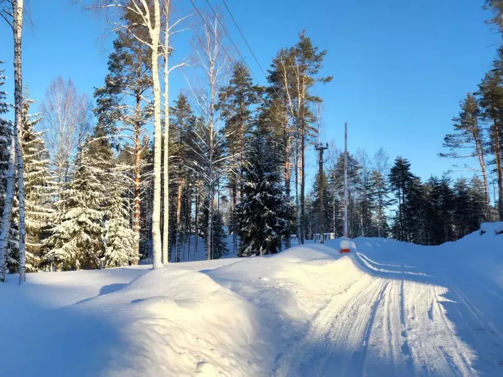 Участок в Ленинградская область, Всеволожский район, Куйвозовское ... - Фото 1