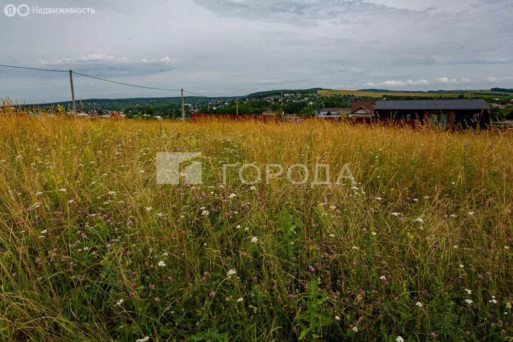 Участок в Сосновка, улица Шория, 30 (18 м) - Фото 0
