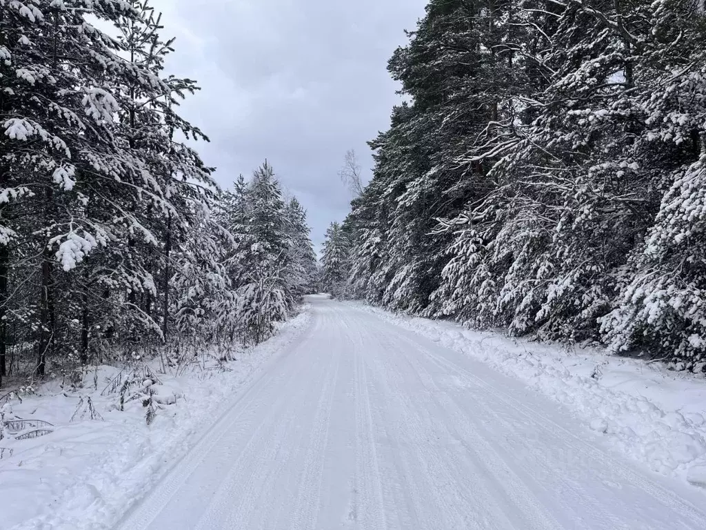 Участок в Владимирская область, Александровский муниципальный округ, ... - Фото 1