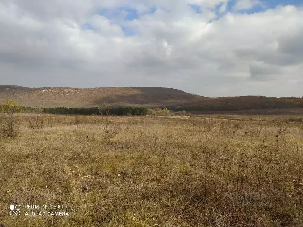 Погода в селе синекаменка крым. Синекаменка Белогорский район. Крым Белогорский район село Синекаменка. Земельный участок Белогорский район Крым. Кольцевое Крым.