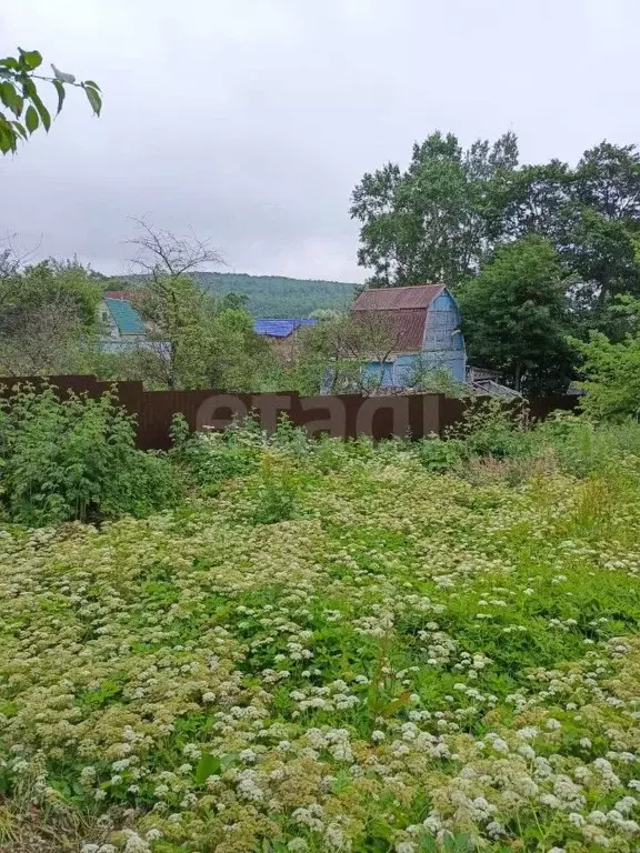 Участок в Сахалинская область, Южно-Сахалинск Дружба СНТ,  (15.0 сот.) - Фото 1