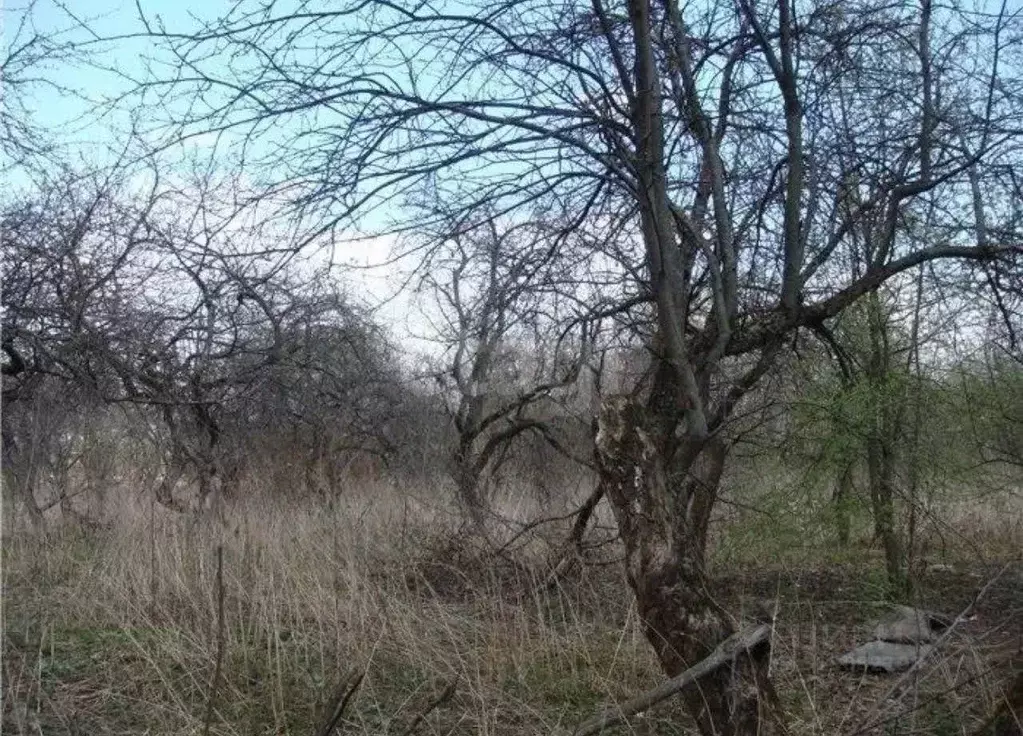 Участок в Брянская область, Брянский район, Супоневское с/пос, Рассвет ... - Фото 2