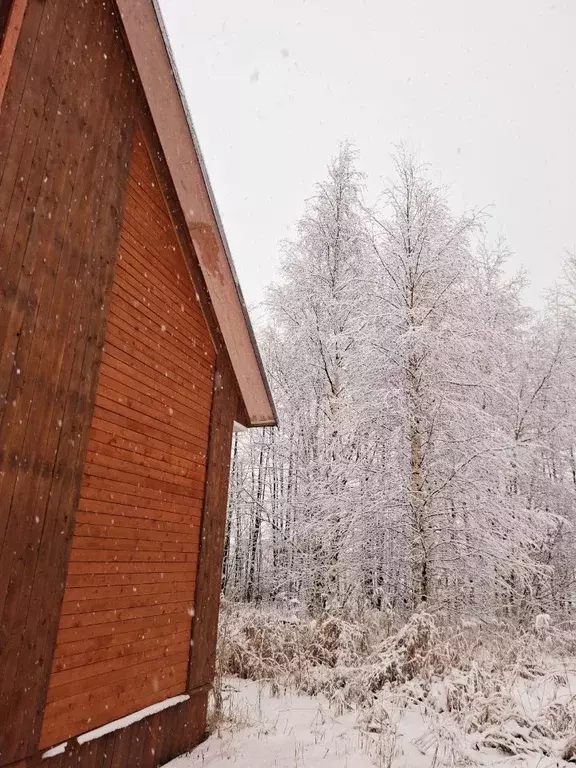 Дом в Ленинградская область, Кировский район, Синявинское городское ... - Фото 1