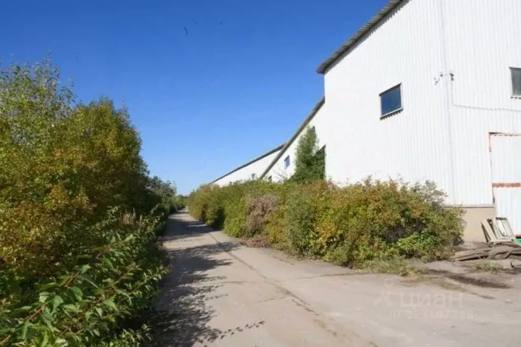 Склад в Московская область, Домодедово Белые Столбы мкр, ул. ... - Фото 1