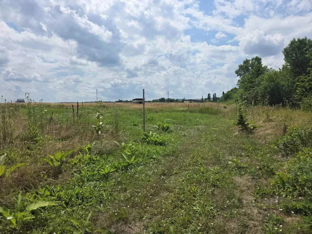 Участок в Краснодарский край, Северский район, Ильское городское ... - Фото 2