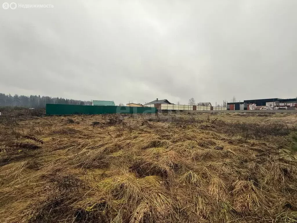 Участок в муниципальное образование Клязьминское, деревня Погорелка ... - Фото 2