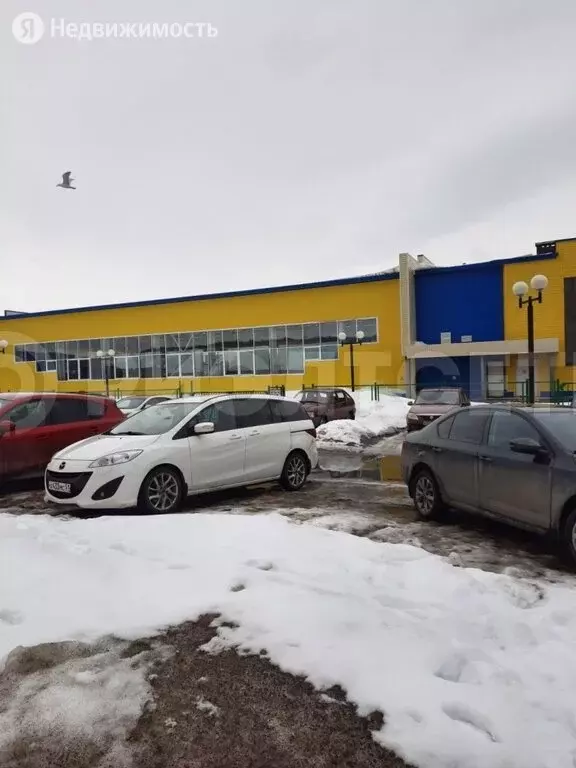 Кола проспект защитников заполярья