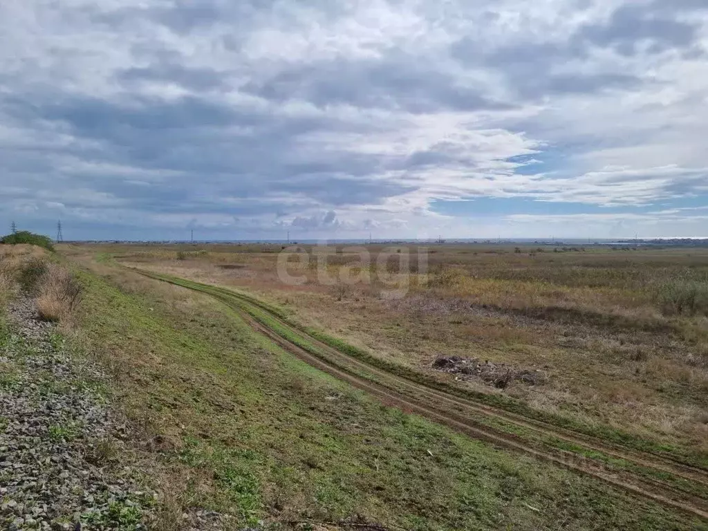 Участок в Крым, Кировский район, с. Синицыно ул. Евдокимова (2812.0 ... - Фото 1