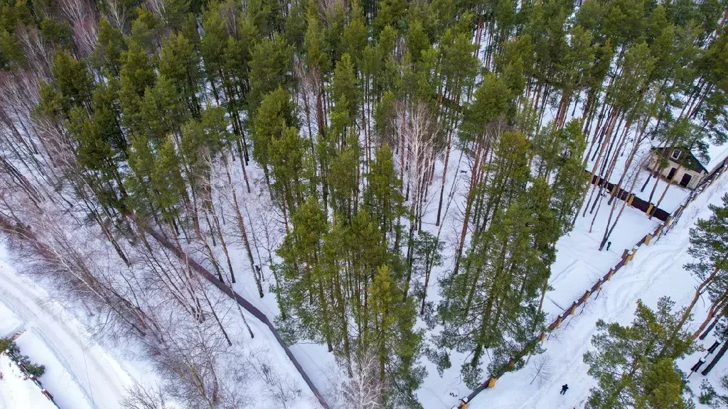 Участок в Московская область, Раменский городской округ, д. Вялки ул. ... - Фото 0