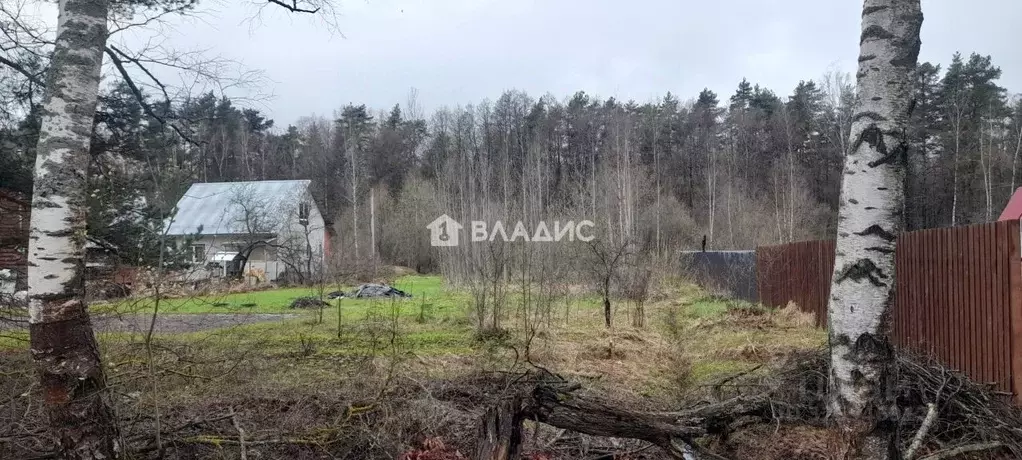 Участок в Владимирская область, Владимир Связист сад, 4/15 (4.4 сот.) - Фото 2