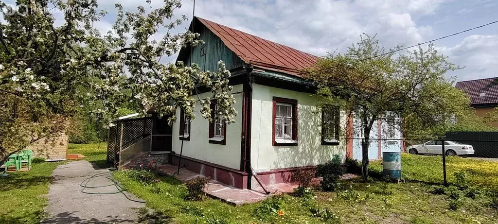 Дом в деревня Большое Толбино, 21 (44.5 м) - Фото 0