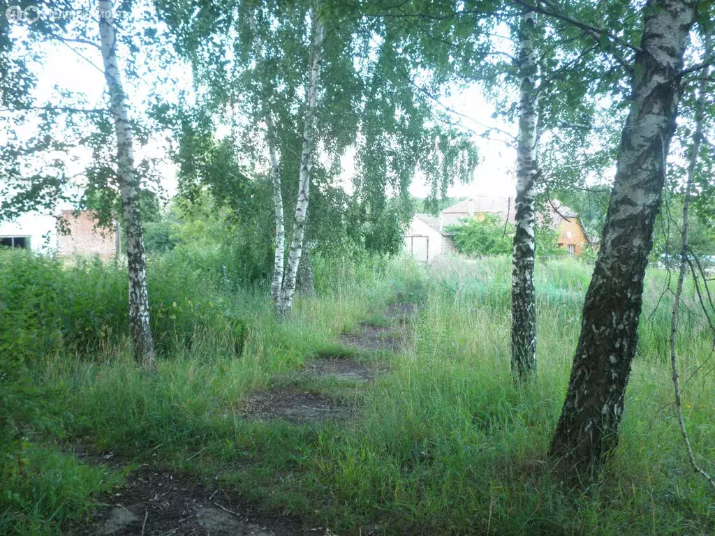Участок в деревня Большая Каменка, Новая улица, 4 (10 м) - Фото 0