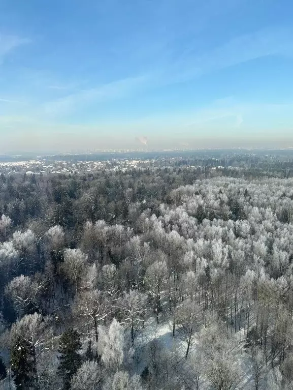 1-к кв. Московская область, Химки городской округ, д. Подолино, Велтон ... - Фото 1