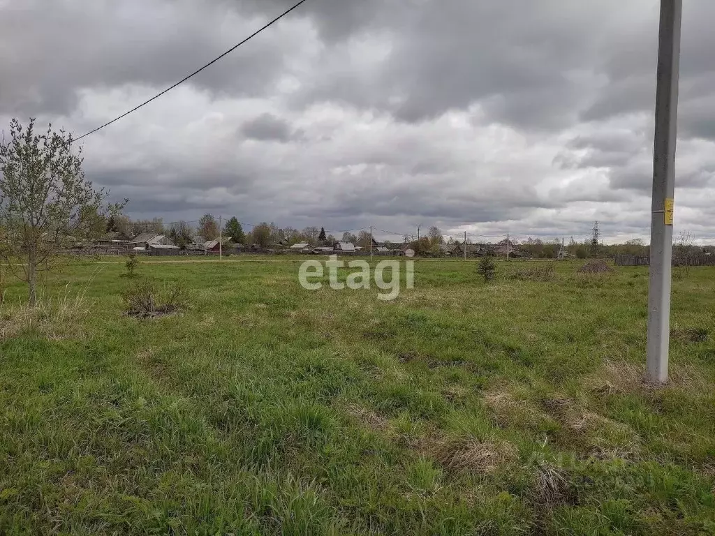 Участок в Вологодская область, Харовский муниципальный округ, д. ... - Фото 1