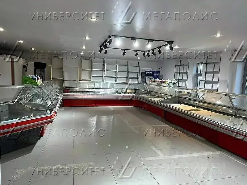 Склад в Москва ул. Шолохова, 10К1 (190 м) - Фото 2