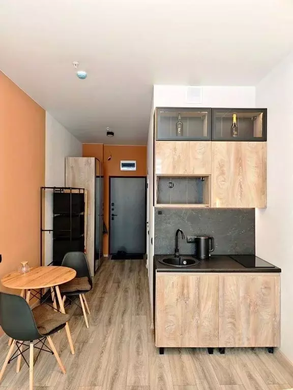 Студия Новосибирская область, Новосибирск Ипподромская ул., 15 (20.0 ... - Фото 2