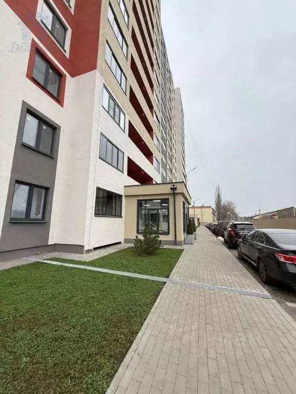 Студия Воронежская область, Воронеж Цимлянская ул., 10В (22.6 м) - Фото 1