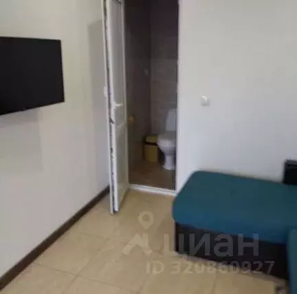 1-к кв. Краснодарский край, Сочи ул. Ленина, 204А (28.0 м) - Фото 1