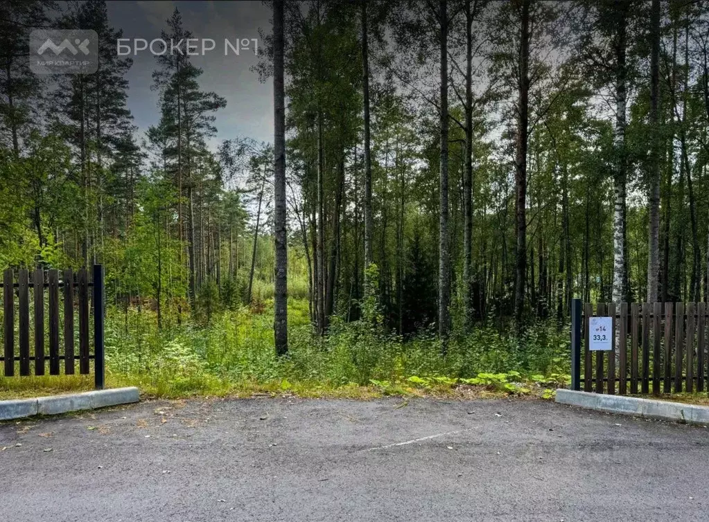Участок в Ленинградская область, Приозерский район, Раздольевское ... - Фото 2