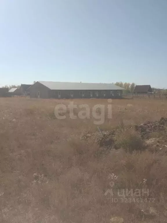 Помещение свободного назначения в Оренбургская область, Соль-Илецк ... - Фото 2